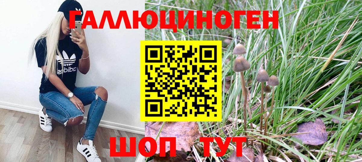 Галлюциногенные грибы GOLDEN TEACHER  где купить   Острогожск  Галлюциногенные грибы GOLDEN TEACHER  Вход с VPN 